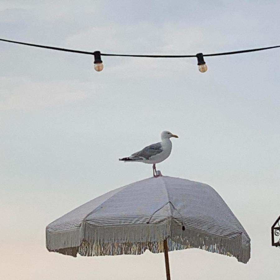 Appartement 'T Zomerhuis Zandvoort Dış mekan fotoğraf