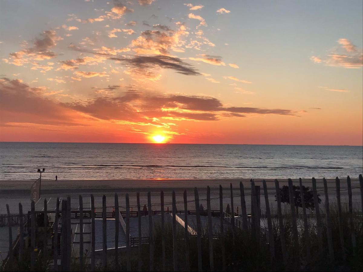 Appartement 'T Zomerhuis Zandvoort Dış mekan fotoğraf
